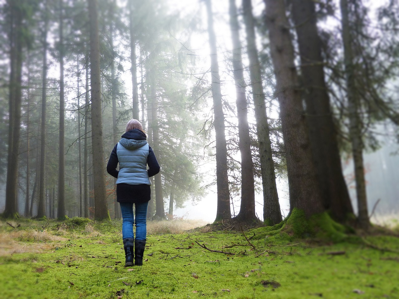 Forest Bathing: Making an Intentional Connection with Nature