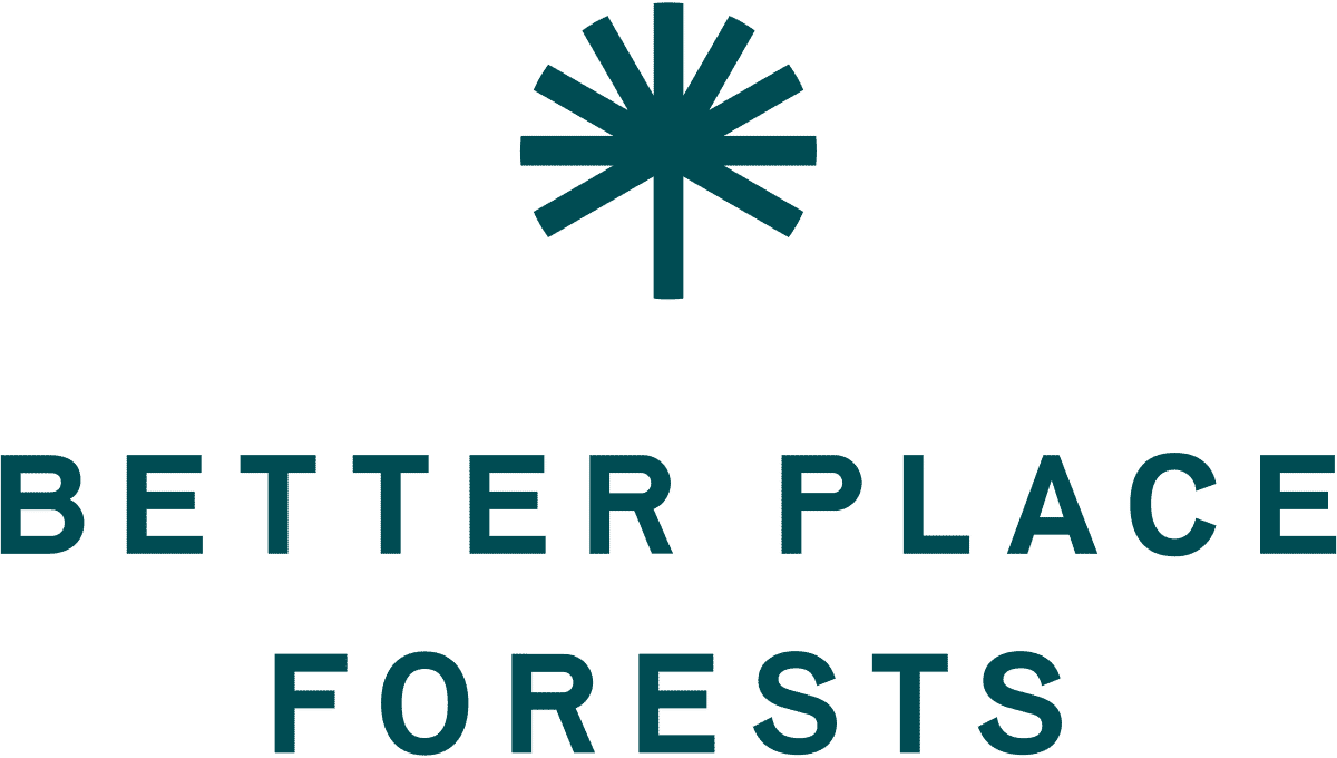 Kristen Mastel | Forest Bathing, Forest Therapy, Nature Wellness, Holistic Wellness, Mindfulness, Health Coach