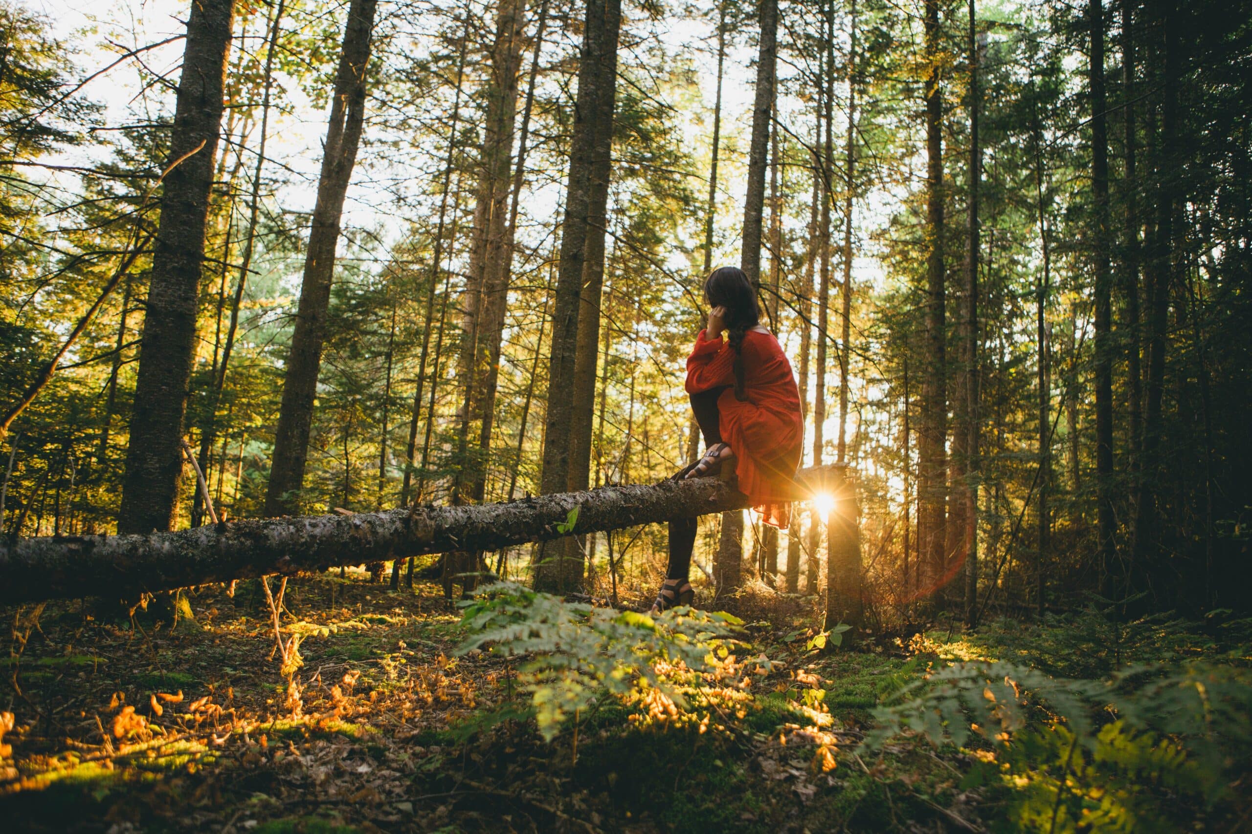 Kristen Mastel | Forest Bathing, Forest Therapy, Nature Wellness, Holistic Wellness, Mindfulness, Health Coach