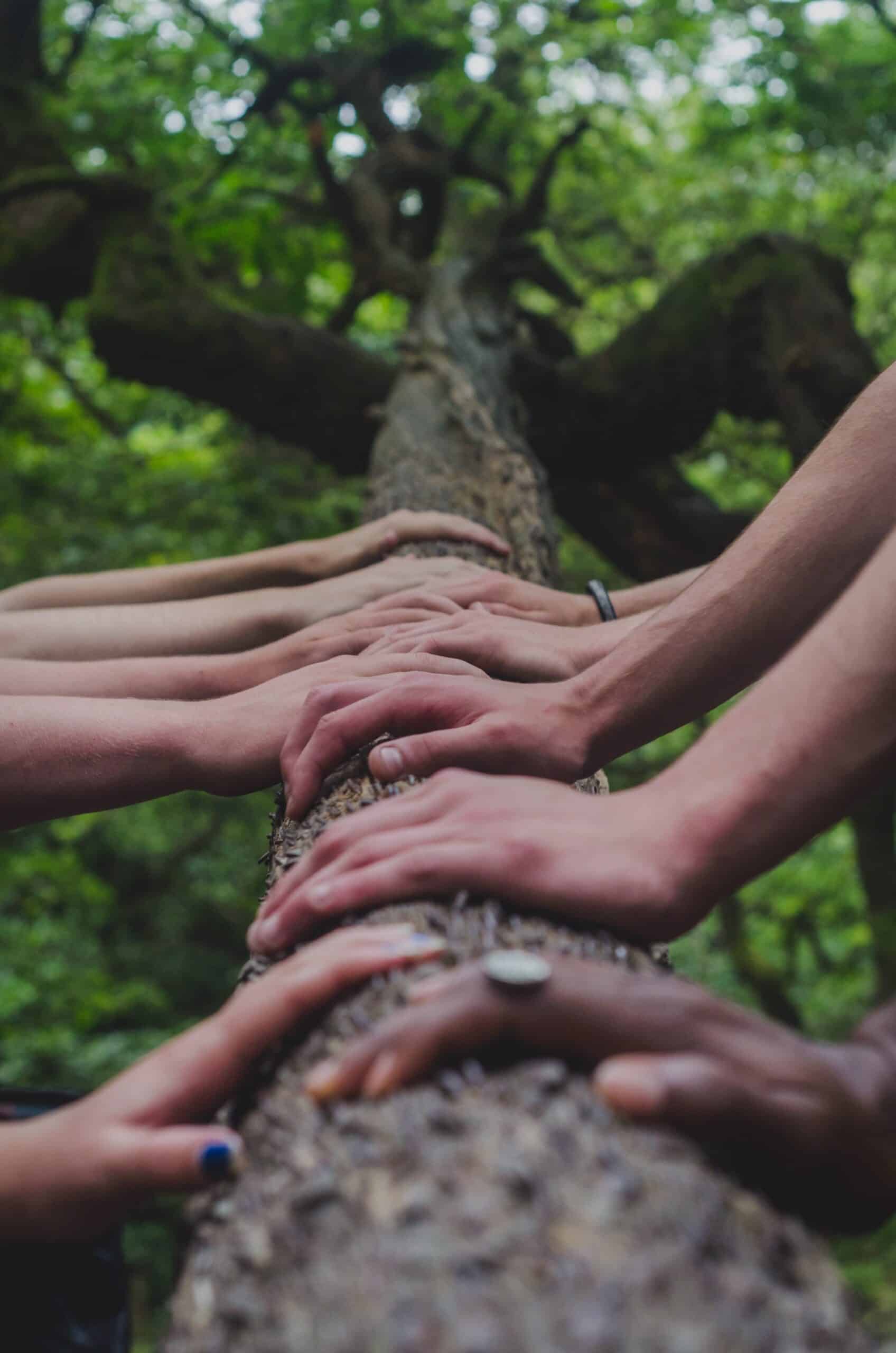 Kristen Mastel | Holistic Wellness, Mindfulness & Health Coach