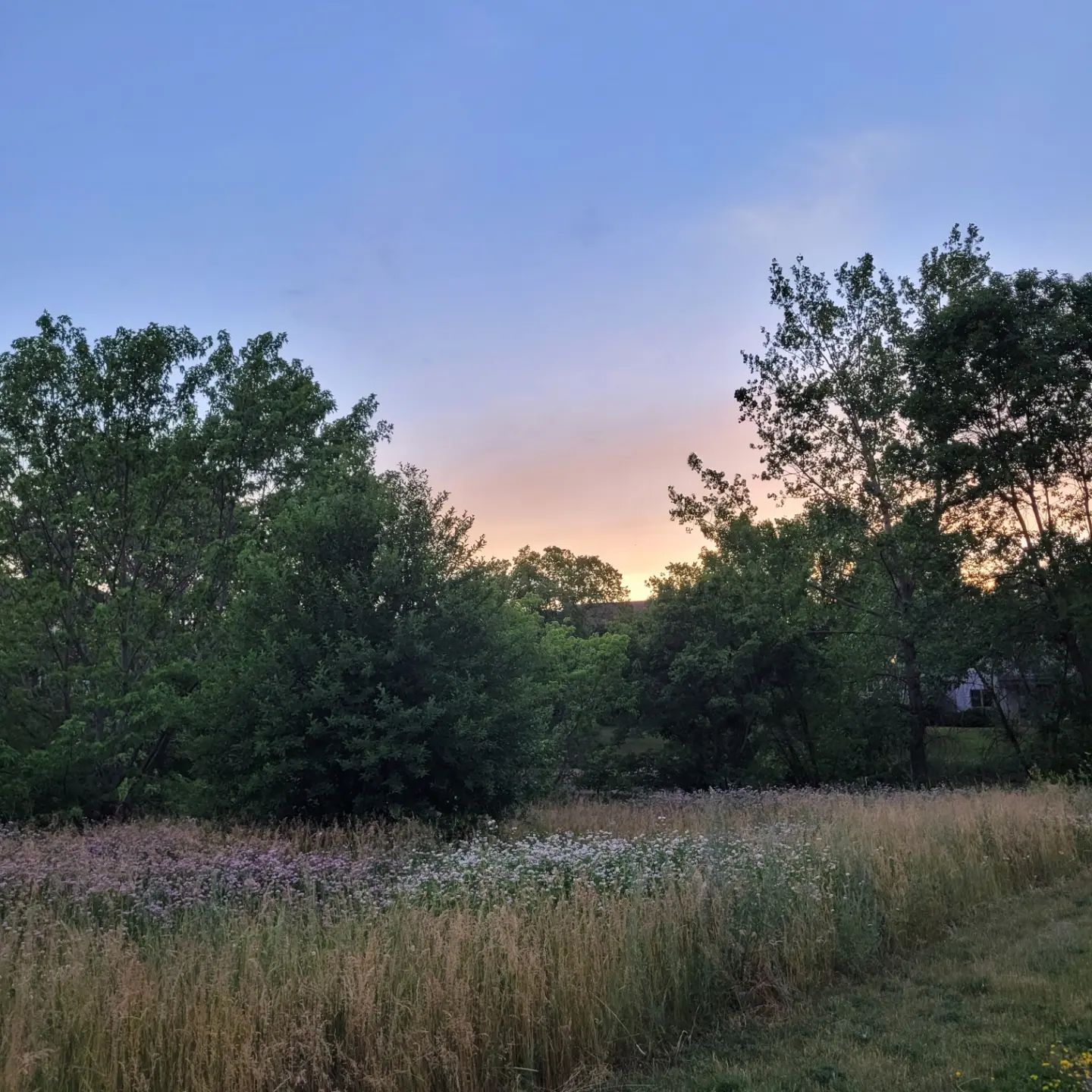 sunset at park