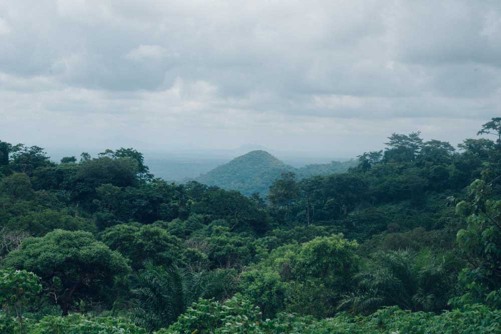 asasa